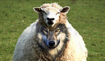 controlled-opposition